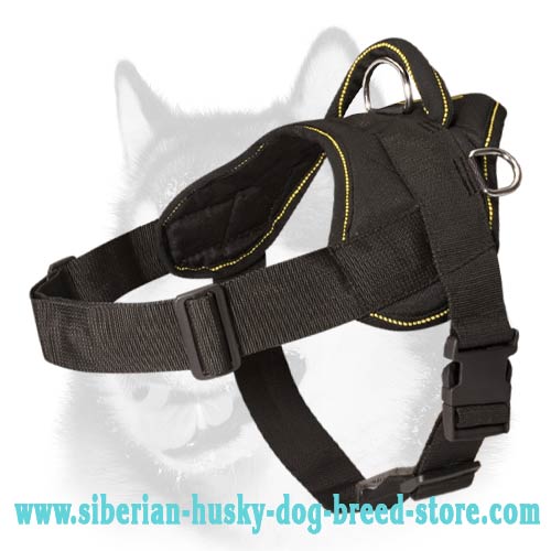 Siberian Husky Nylon Harness for Training Walking H6 1025 Pulling Nylon Harness Siberian Husky harness Siberian Husky muzzle Siberian Husky collar dog leash leads tracking dog harnesses Slip collars f...