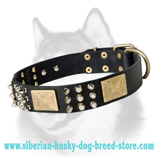 2 Ply Designer Dog Collar for Siberian Husky Breed [C79##1025 Flames  Leather Collar] : Siberian Husky harness,Siberian Husky muzzle,Siberian  Husky collar,dog leash,leads,tracking dog harnesses, Slip collars,fur saver  collars,leather collars,dog muzzles