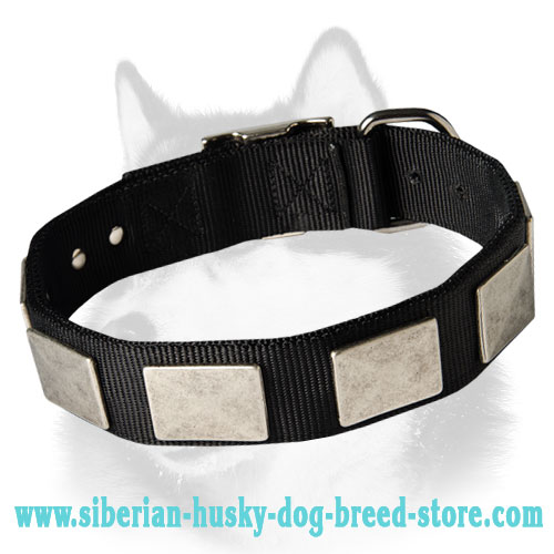 Nylon Dog Collar With Large Viantage Plates for Siberian Husky, Akita