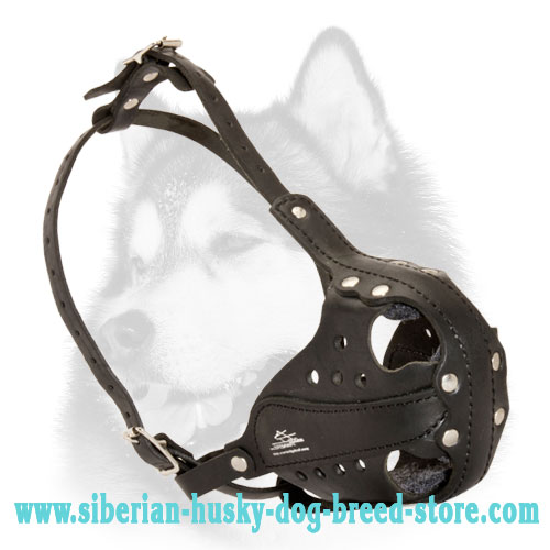 heavy duty dog muzzle