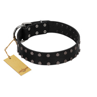 "Dark Night" Handmade FDT Artisan Black Leather Dog Collar with Silver-Like Studs  "Dark Night" Handmade FDT Artisan Black Leather Dog Collar with Silver-Like Studs