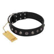 "Black Knight" Handmade FDT Artisan Black Leather Siberian Husky Collar with Silver-Like Studs  "Black Knight" Handmade FDT Artisan Black Leather Siberian Husky Collar with Silver-Like Studs