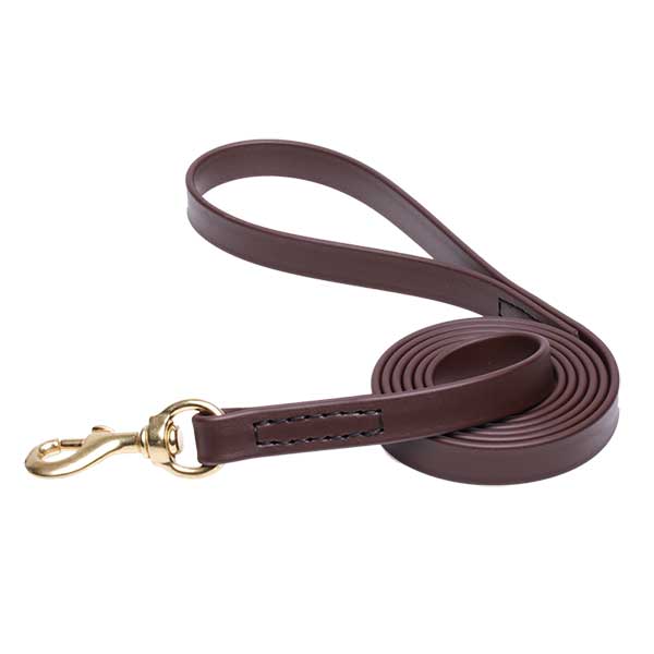 Biothane Dog Leash for Walking