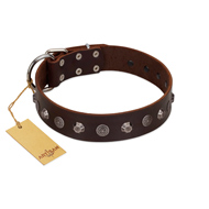 "Dark Chocolate" Handmade FDT Artisan Brown Leather Siberian Husky Collar with Studs  "Dark Chocolate" Handmade FDT Artisan Brown Leather Siberian Husky Collar with Studs