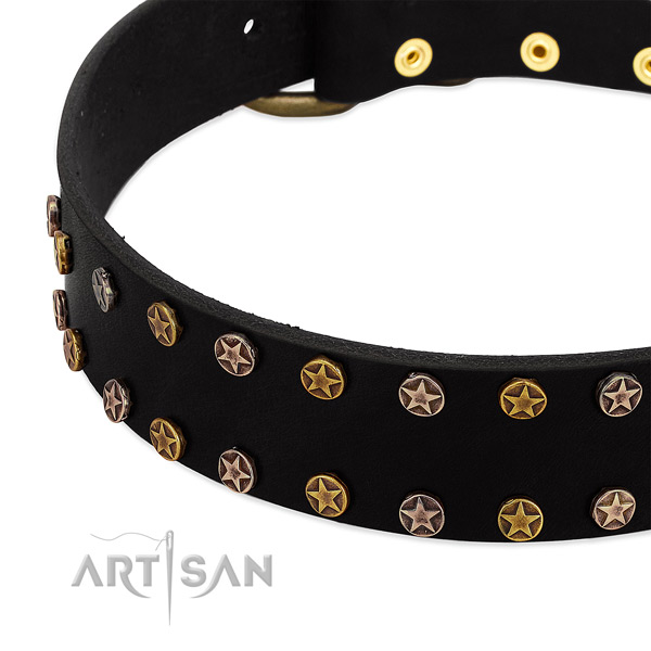 Fashionable adornments on leather collar for your canine