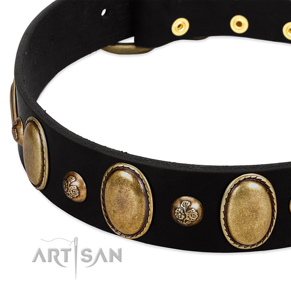 Full grain natural leather dog collar with extraordinary decorations