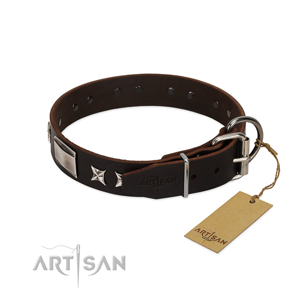 Exquisite collar of full grain leather for your beautiful doggie