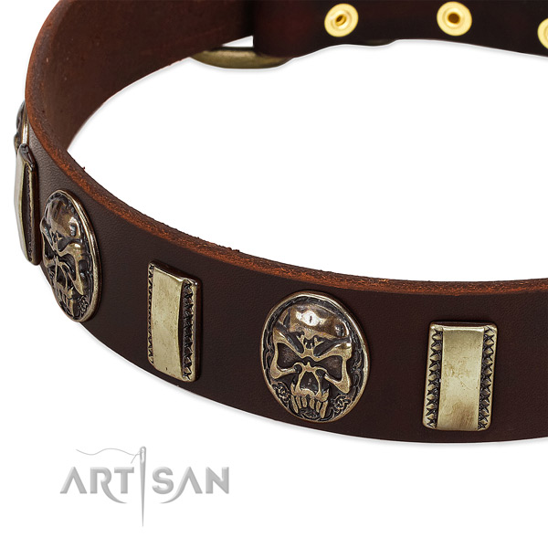 Strong buckle on full grain leather dog collar for your canine