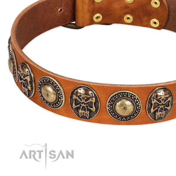 Rust resistant embellishments on full grain leather dog collar for your doggie