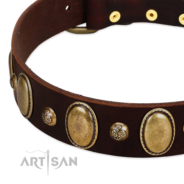 Genuine leather dog collar with inimitable embellishments