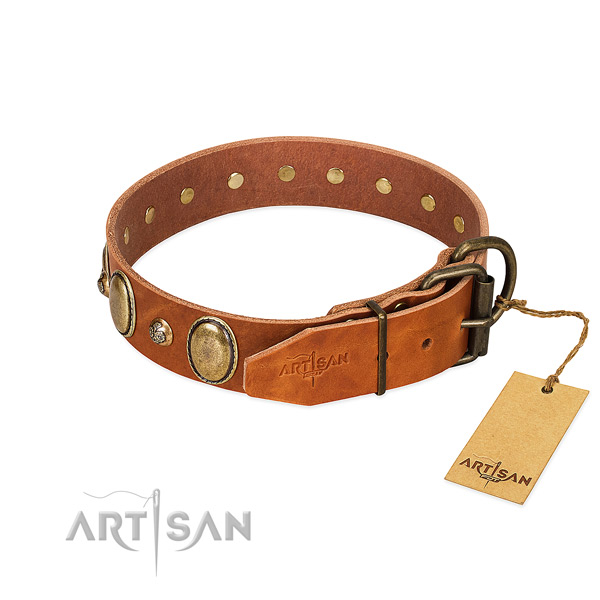 Top notch natural leather dog collar with rust resistant fittings
