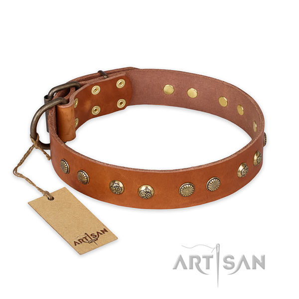 Handmade leather dog collar with durable fittings