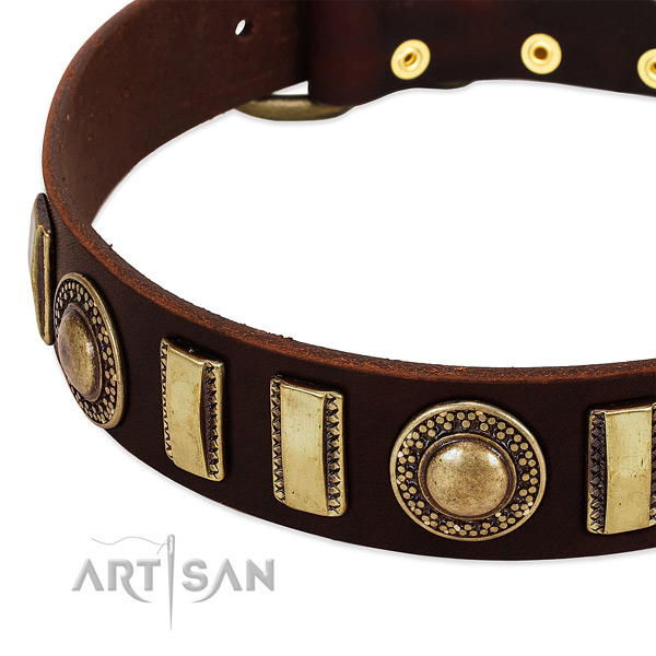 Quality full grain natural leather dog collar with strong traditional buckle