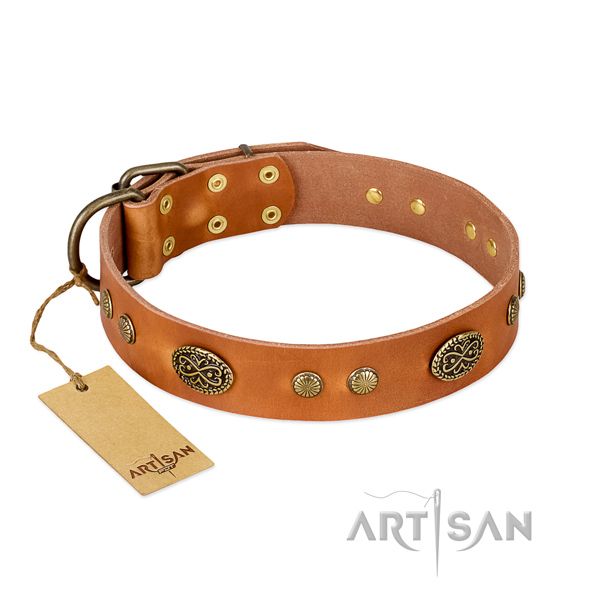 Durable hardware on full grain natural leather dog collar for your four-legged friend