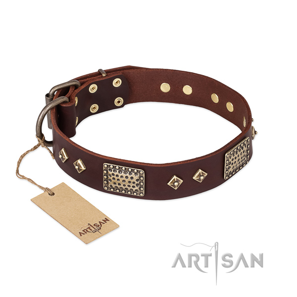Incredible leather dog collar for daily walking