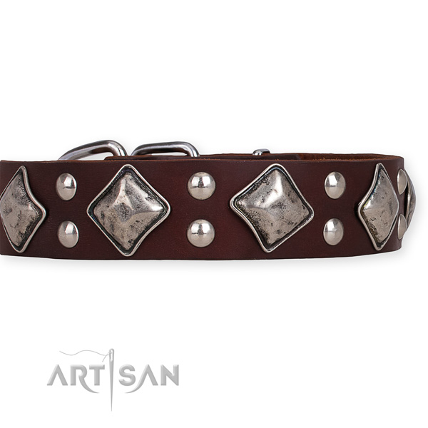Full grain natural leather dog collar with stylish design rust-proof decorations