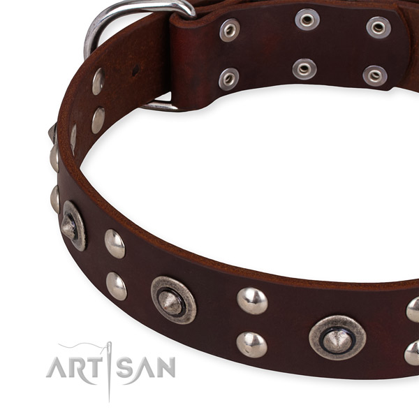 Full grain leather collar with durable fittings for your handsome doggie