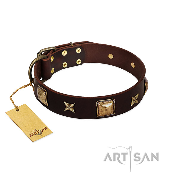 Stunning full grain natural leather collar for your pet