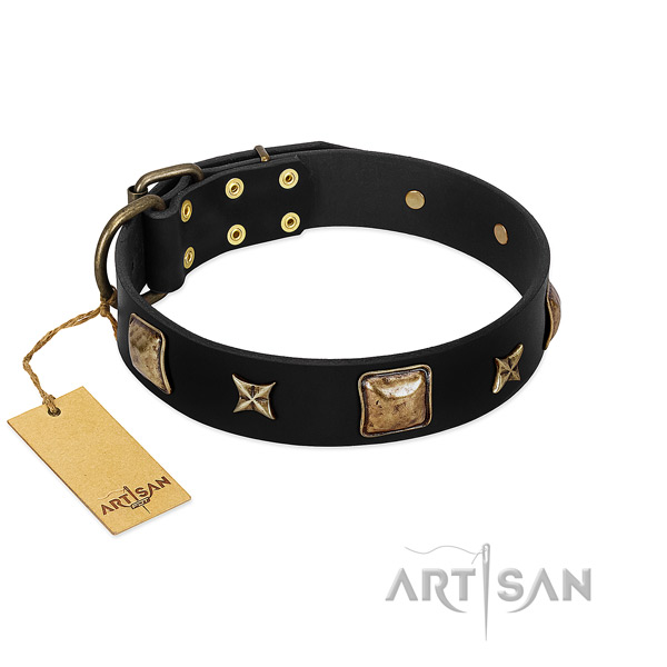 Full grain natural leather dog collar of quality material with unique adornments