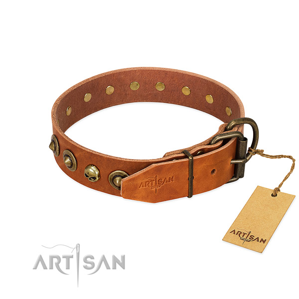 Full grain genuine leather collar with incredible embellishments for your four-legged friend