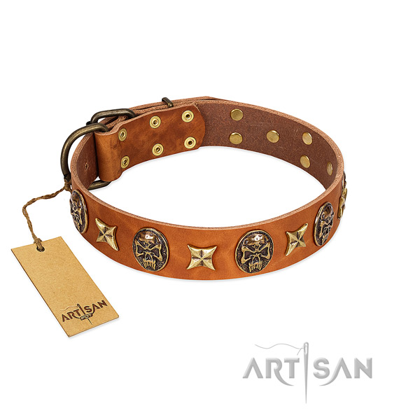 Unusual full grain leather collar for your pet