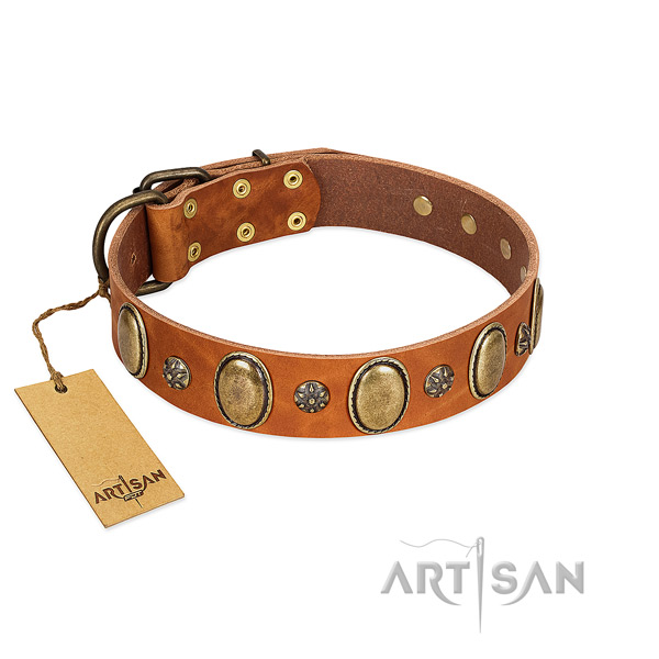 Fancy walking soft full grain leather dog collar with adornments