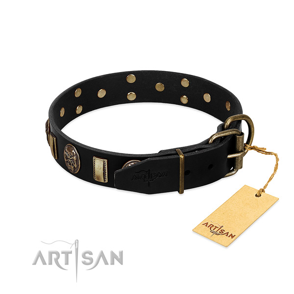 Full grain natural leather dog collar with strong hardware and decorations