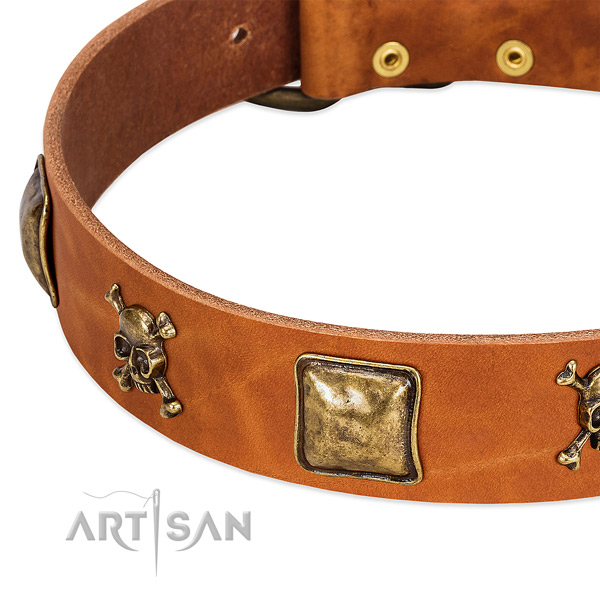 Exquisite genuine leather dog collar with corrosion resistant embellishments