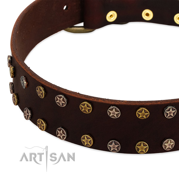 Everyday walking genuine leather dog collar with exceptional decorations