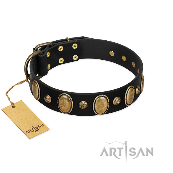 Full grain natural leather dog collar of flexible material with trendy decorations