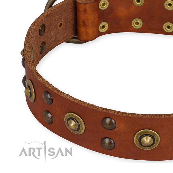 Genuine leather collar with rust resistant hardware for your beautiful pet