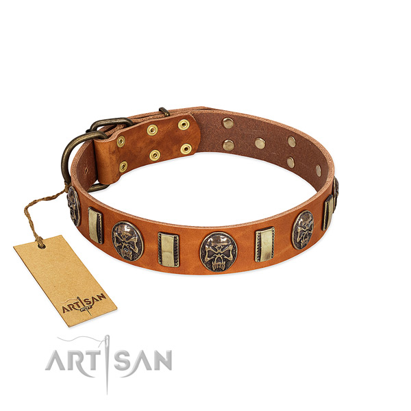 Awesome full grain leather dog collar for comfortable wearing