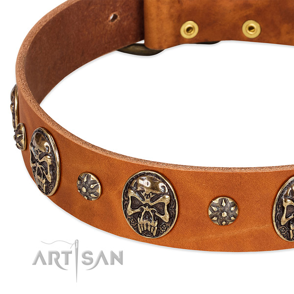 Corrosion resistant studs on genuine leather dog collar for your doggie