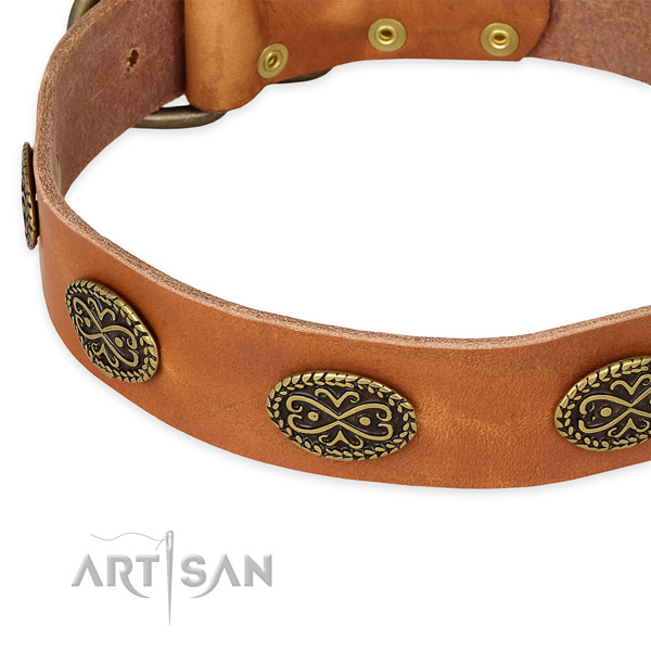 Studded full grain genuine leather collar for your stylish dog