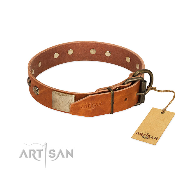 Durable adornments on comfortable wearing dog collar