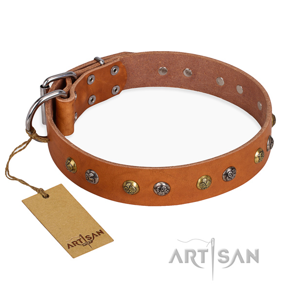 Everyday use embellished dog collar with reliable buckle