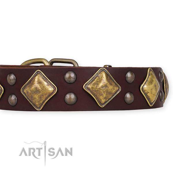 Full grain leather dog collar with fashionable corrosion resistant embellishments