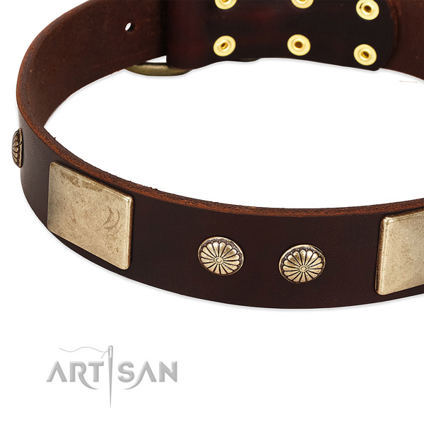 Rust resistant hardware on full grain genuine leather dog collar for your four-legged friend
