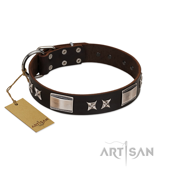 Awesome dog collar of full grain leather