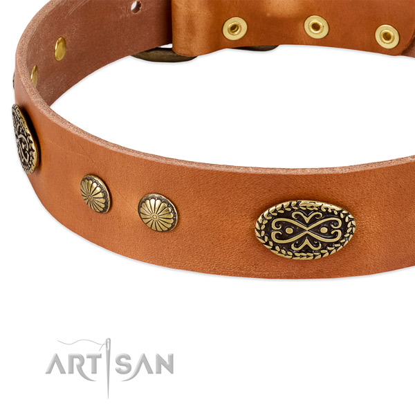 Rust-proof buckle on full grain natural leather dog collar for your pet