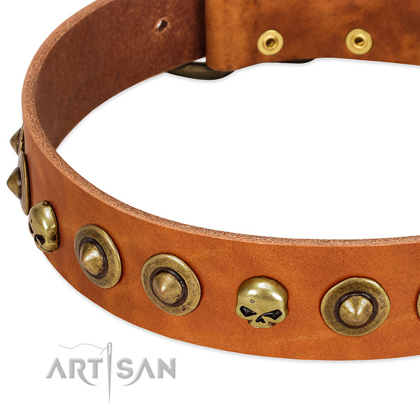 Fashionable studs on genuine leather collar for your doggie