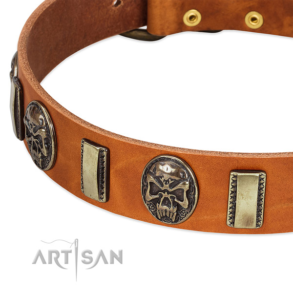 Reliable traditional buckle on genuine leather dog collar for your dog