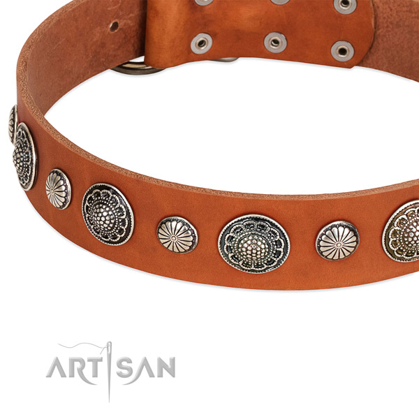 Leather collar with corrosion proof D-ring for your handsome four-legged friend