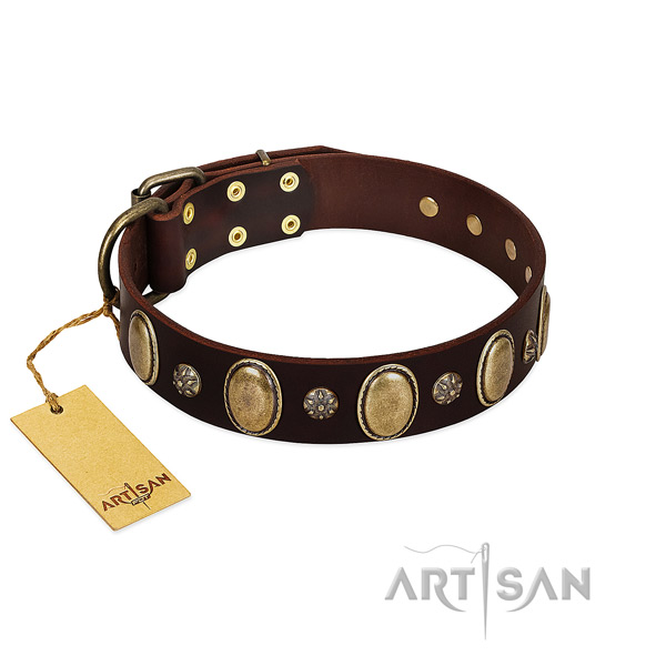 Fancy walking top rate leather dog collar with decorations