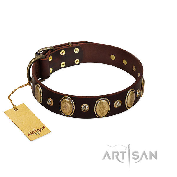 Genuine leather dog collar of high quality material with unique embellishments