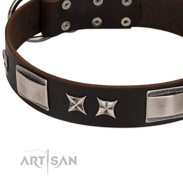 Exquisite collar of full grain leather for your impressive doggie