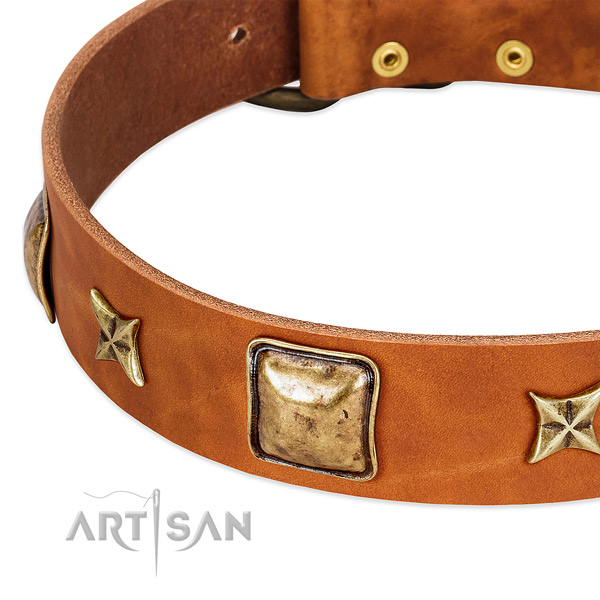 Reliable fittings on full grain genuine leather dog collar for your doggie