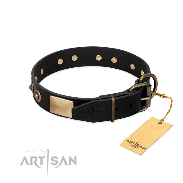 Rust-proof decorations on comfortable wearing dog collar