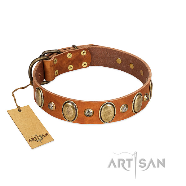 Natural leather dog collar of quality material with stylish adornments