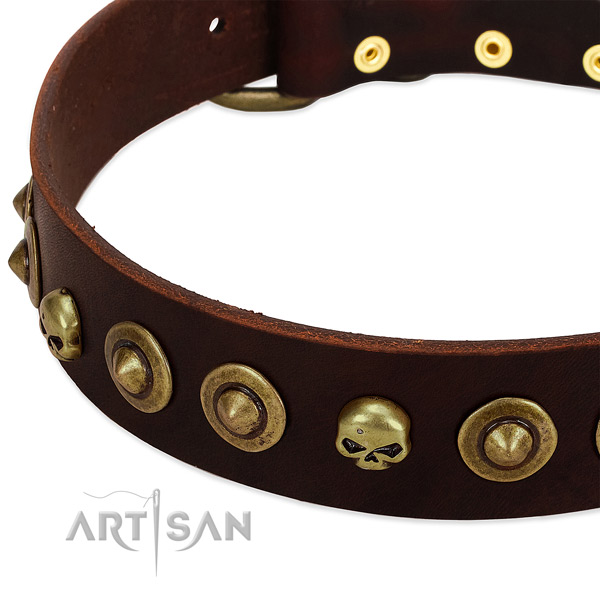 Stunning studs on natural leather collar for your pet